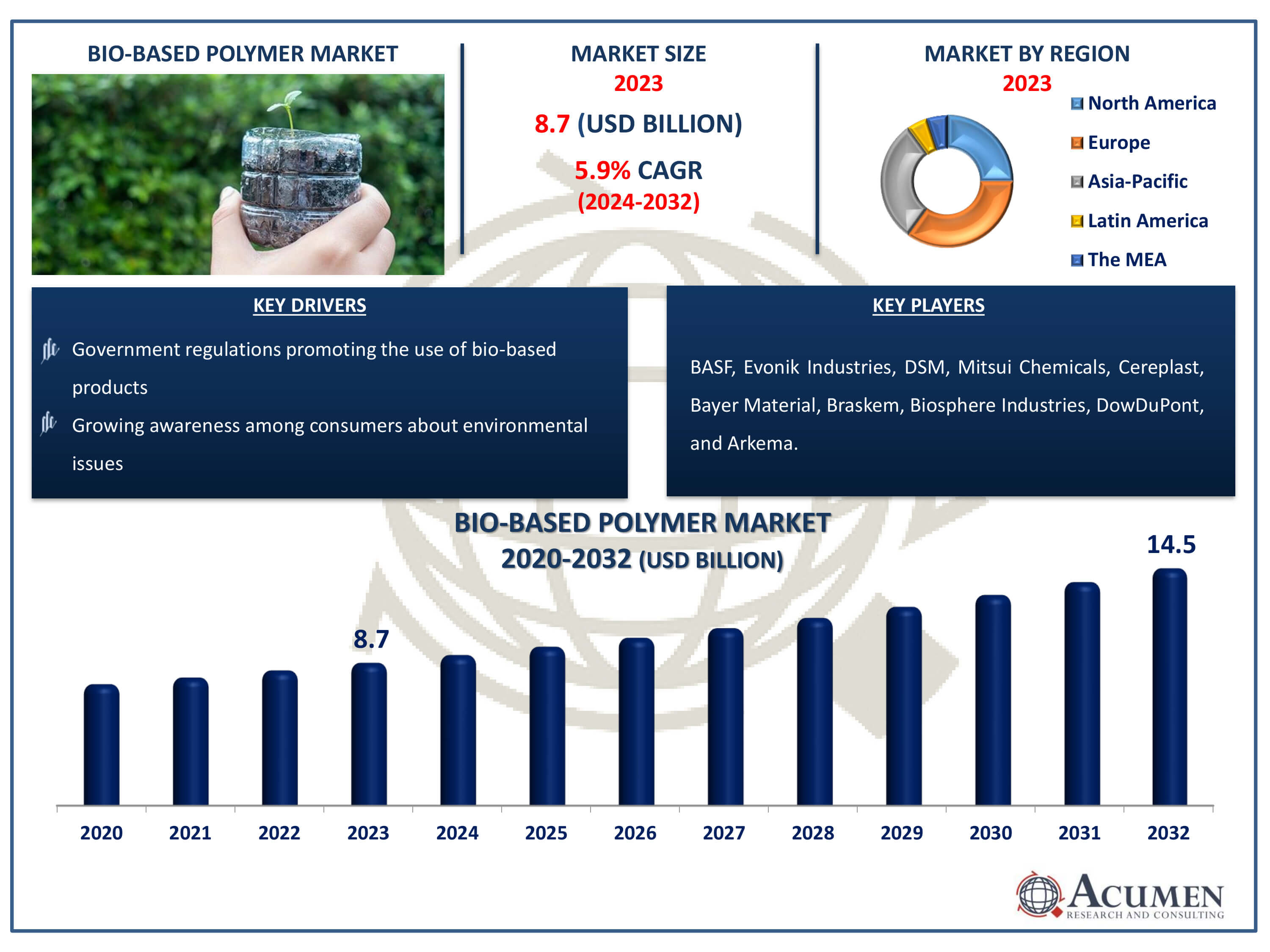 Bio-Based Polymer Market Dynamics