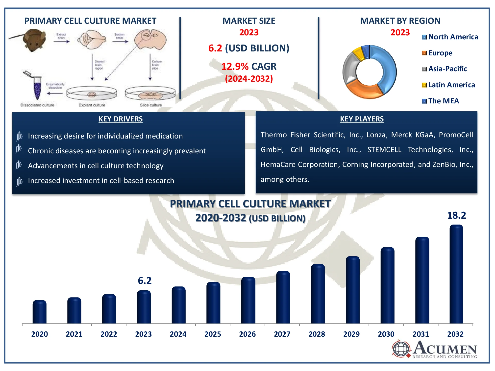 Primary Cell Culture Market Dynamics