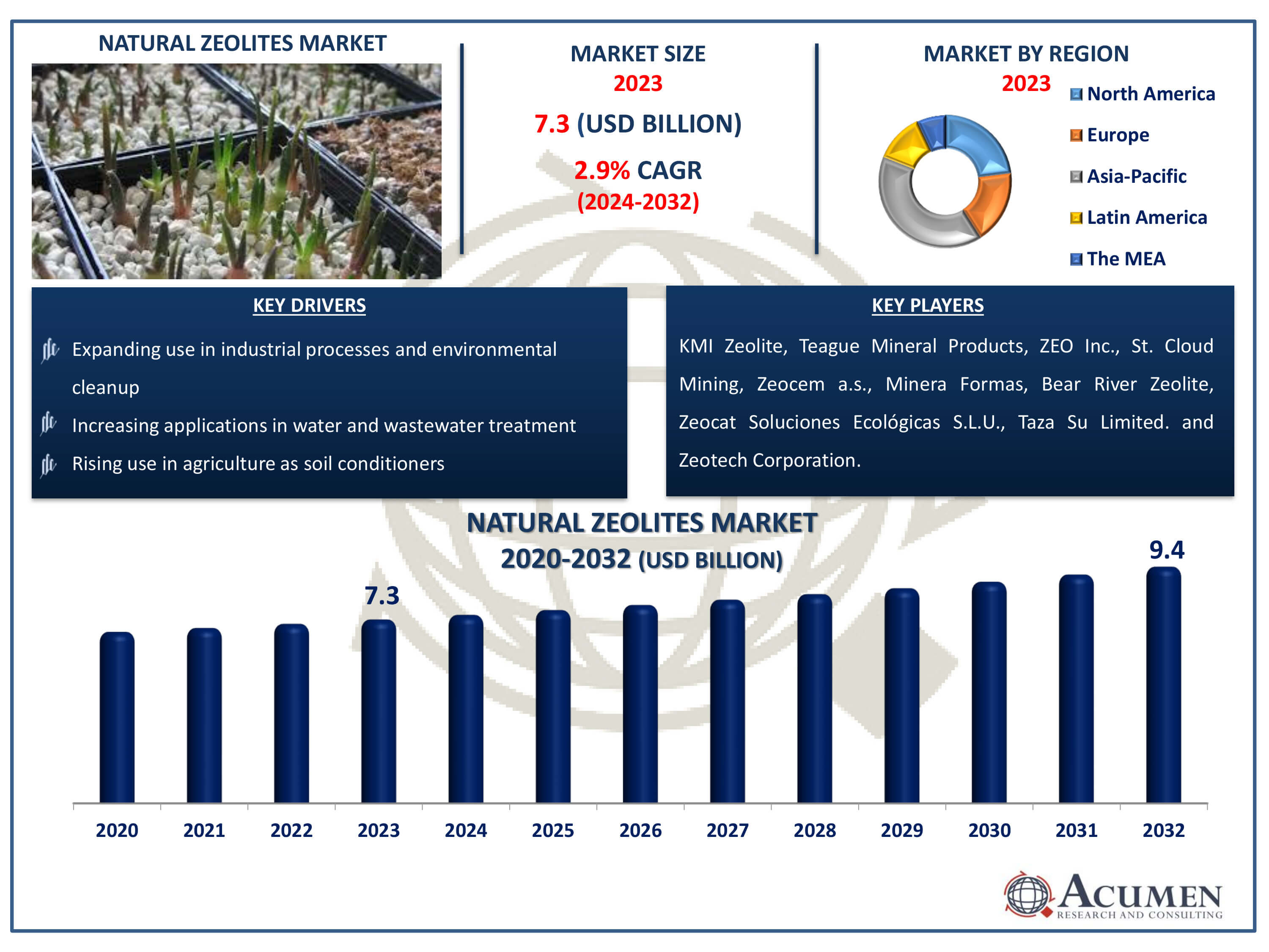 Natural Zeolites Market Dynamics