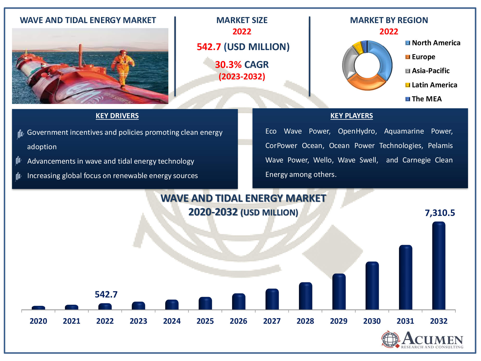 Wave and Tidal Energy Market Dynamics