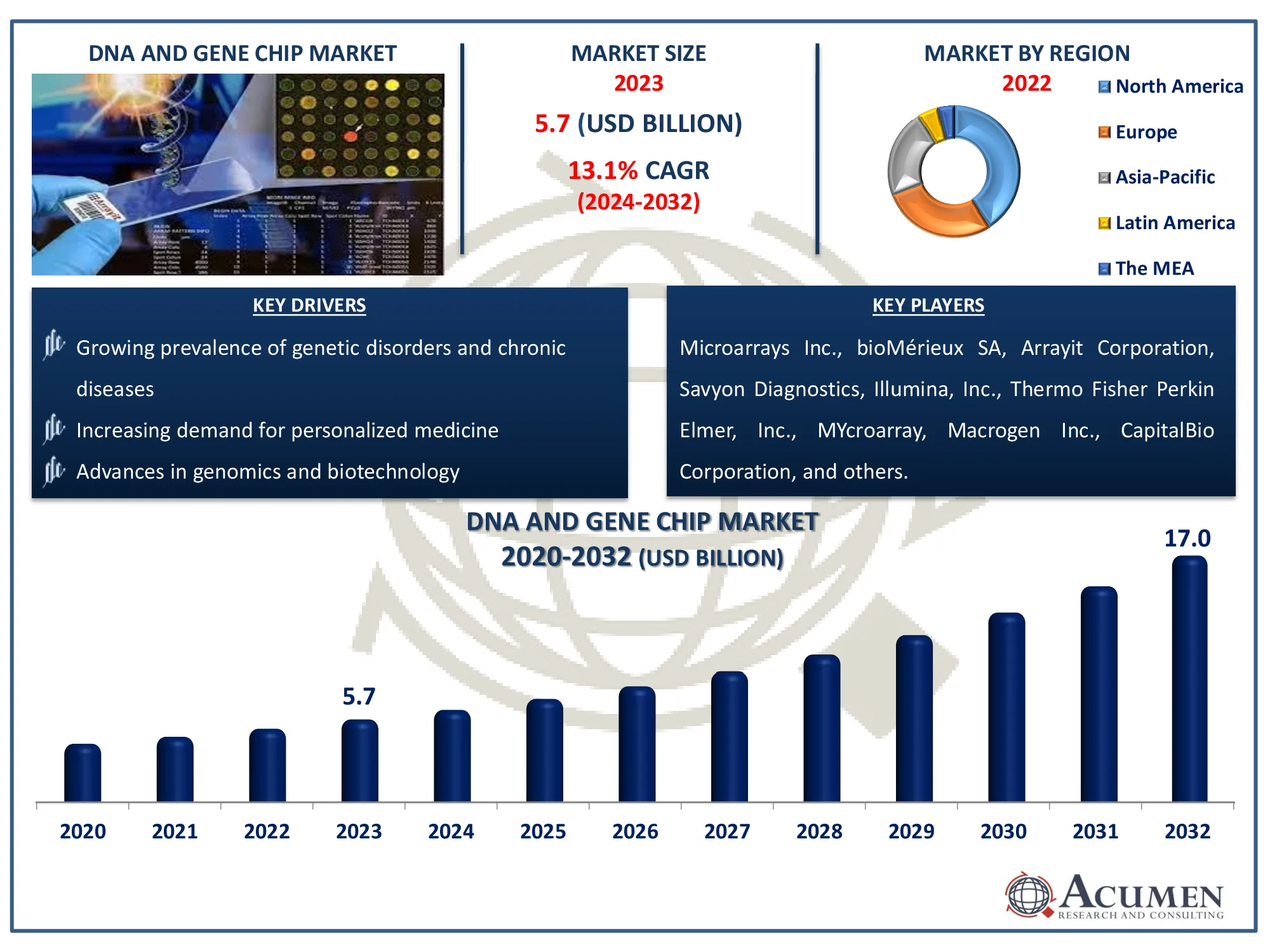 DNA and Gene Chip Market Dynamics